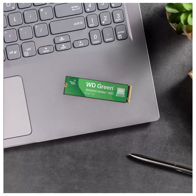 Western Digital, SSD 500 GB, M.2 NVMe PCIe 4.0, Green SN3000