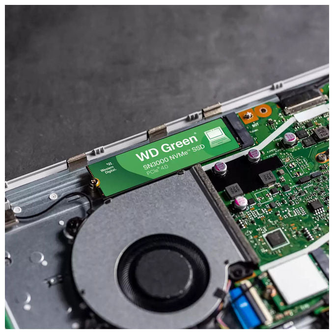 Western Digital, SSD 500 GB, M.2 NVMe PCIe 4.0, Green SN3000