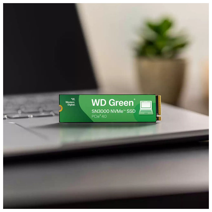 Western Digital, SSD 500 GB, M.2 NVMe PCIe 4.0, Green SN3000