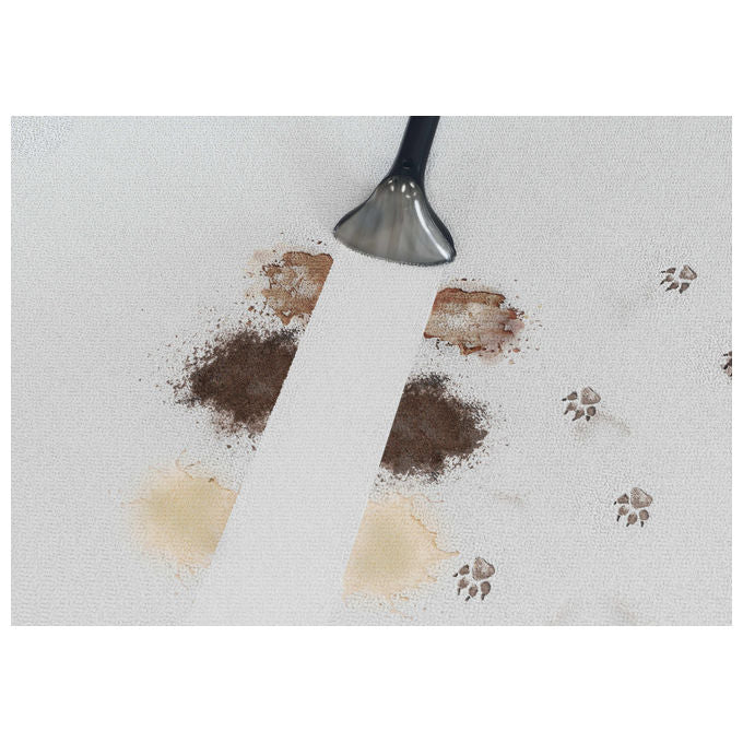 Hoover HS530 011, Pulitore per Macchie, Nero, Senza Filo e Senza Sacchetto