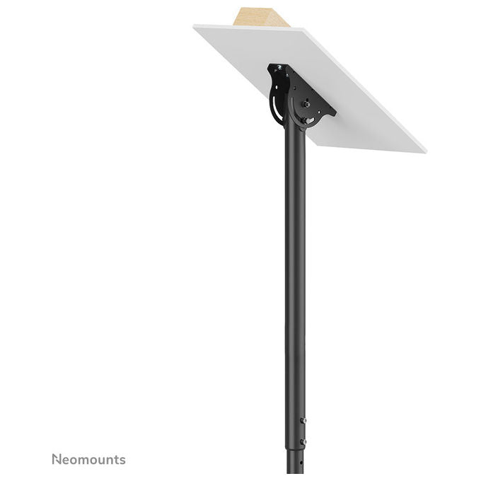 Neomounts, Supporto TV a Soffitto, 23-42 Pollici, Inclinabile, Regolabile in Altezza, Nero