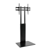 Equip, Supporto TV a Parete, 37-75 pollici, Nero