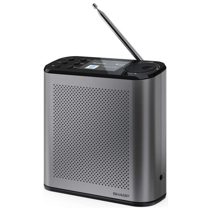 Sharp, Radio Digitale Portatile DAB-DAB+ con Bluetooth 5.3, Grigio Tempesta