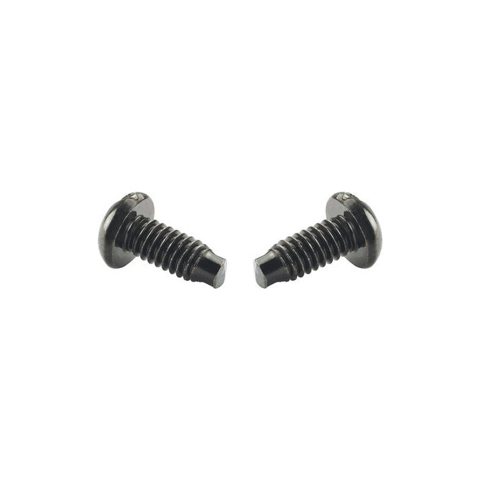 Panduit, Viti Autofilettanti #12-24, 100 pz