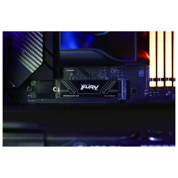 Kingston Technology, SSD 1TB, Fury Renegade G5, NVMe M.2 2280, PCIe 5.0