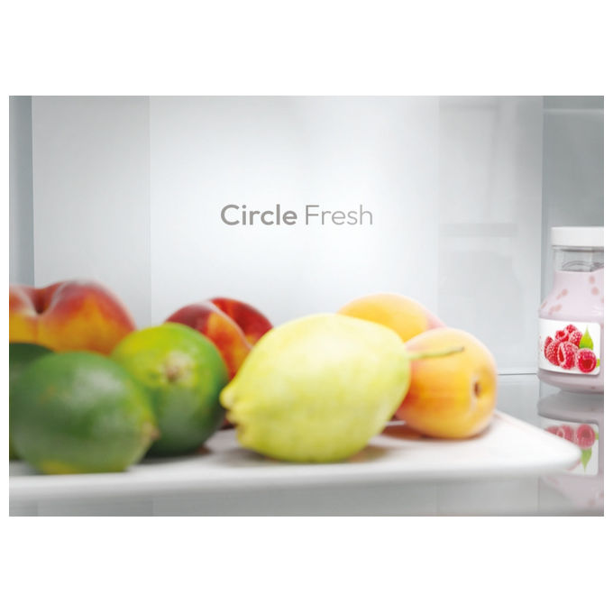 Candy CNCQ2T620DX Frigorifero Combinato Libera Installazione No Frost 2.05m Acciaio Inox colore Acciaio inox