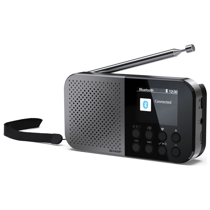 Sharp, Radio Digitale Portatile DAB FM, Grigio