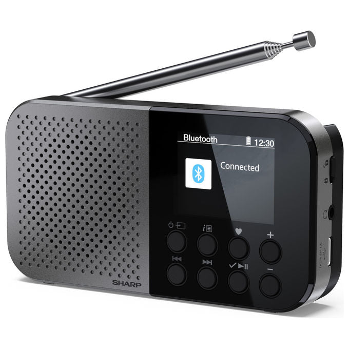 Sharp, Radio Digitale Portatile DAB FM, Grigio