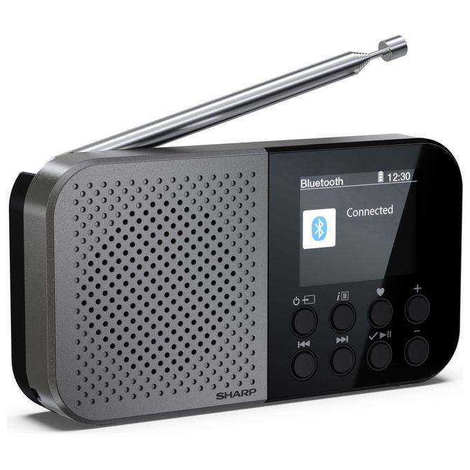 Sharp, Radio Digitale Portatile DAB FM, Grigio