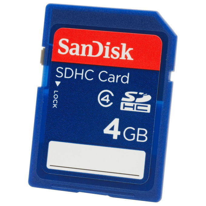 SanDisk Scheda di Memoria SD 4GB Gaming per Nintendo DSi e Wii