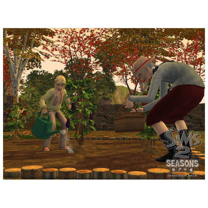 IMac-Games, The Sims 2: Seasons, Gioco PC Mac