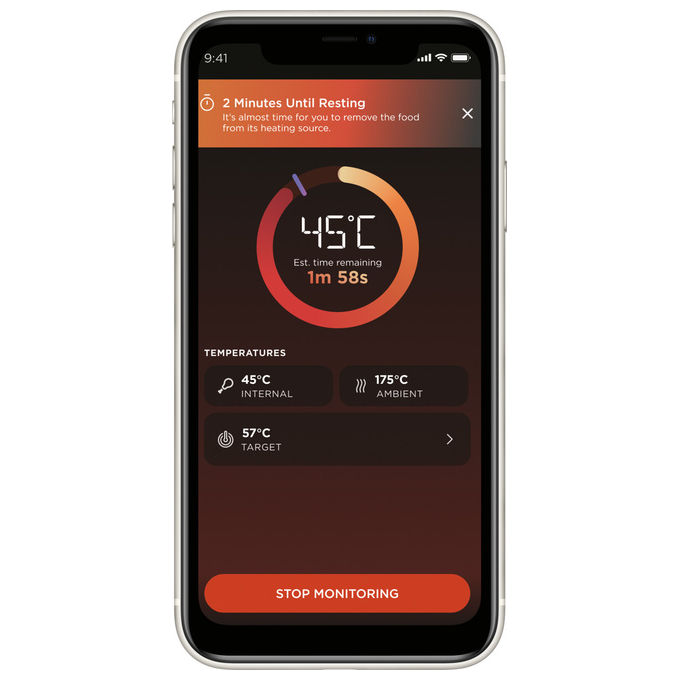 Ninja, Termometro Digitale ProChef, Wireless