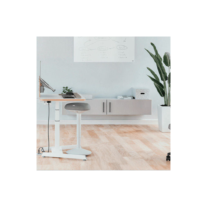 Leitz, Sedia da Ufficio, Seduta Imbottita, Sgabello Attivo Ergo con Seduta Comfort