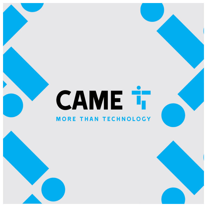 Came 806TS-0310 TOP44FGN Telecomando 4 Canali 433,92 MHz Codice Fisso Autoapprendimento Cancelli e Garage colore Nero