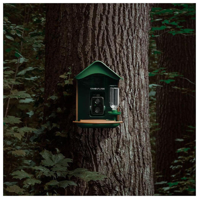 Camouflage, Mangiatoia Uccelli WiFi, Telecamera HD, Visione Notturna, Rilevamento Intelligente, EZ Birdfeed