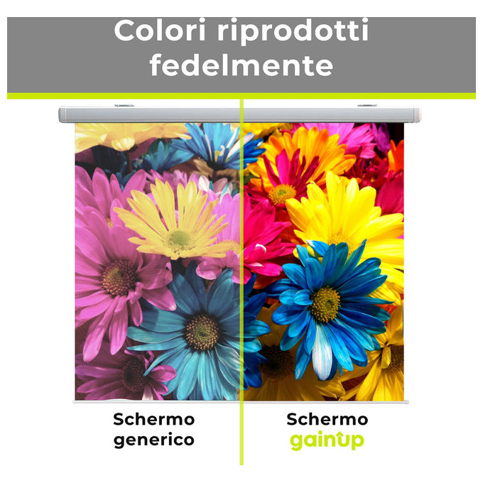 Gainup, Schermo Proiettore Manuale, 250x250cm, Telo Bianco con Retro Nero