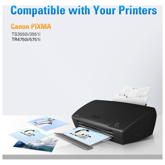 GandG GandG-575XL-2P Cartuccia Inkjet Compatibile Canon PG-575XL Rigenerata 15 ml 400 pagine colore Nero