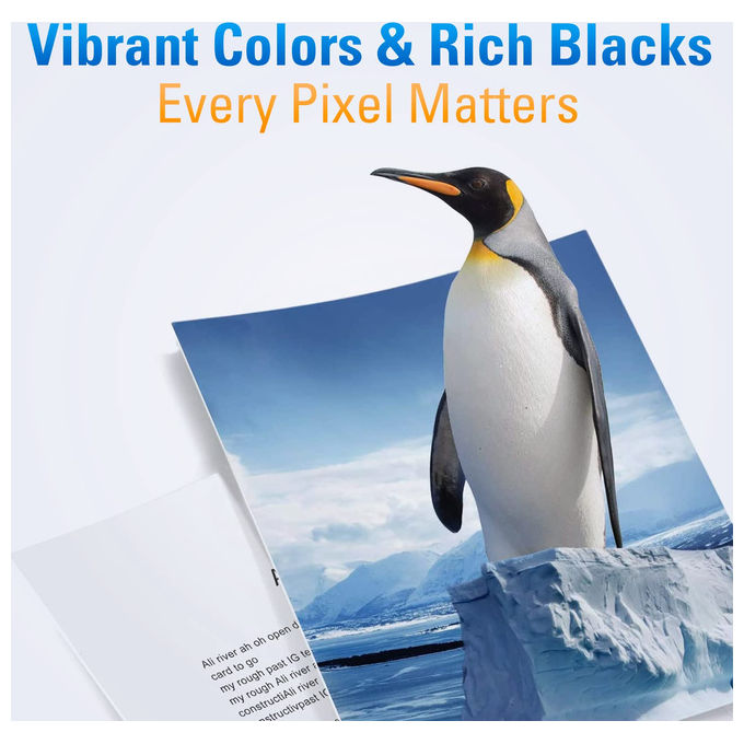 GandG GandG-575XL-2P Cartuccia Inkjet Compatibile Canon PG-575XL Rigenerata 15 ml 400 pagine colore Nero