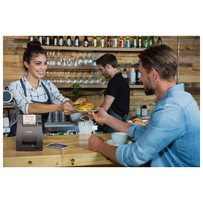 Epson, Stampante POS a Matrice di Punti TM-U220IIB, Grigia, Interfaccia Seriale RS-232