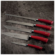 Berkel Elegance Set Coltelli da Cucina 5 pezzi con Ceppo Acciaio Inox Trinciante Pane Spelucchino Disosso