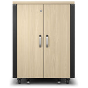 Apc NetShelter Soundproof rack server 17U, insonorizzato, 19 pollici, 230V, acero e nero, AR4017IA