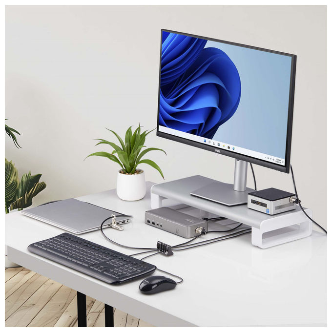 StarTech.com blocco sicurezza cavi periferiche, tastiera e mouse, 3 slot, compatibile lucchetto laptop, nero, antifurto scrivania