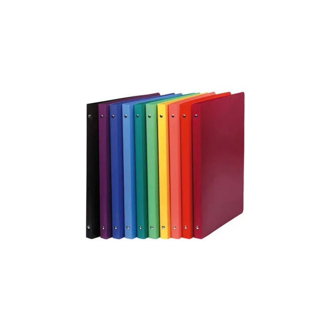Molho Leone CF24 Raccoglitore 4 Anelli Tondi A4 30 mm Polipropilene Traslucida Confezione 24 Pezzi colore Assortiti