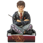 Enesco 6016699 Harry Potter Jim Shore Statuetta The Chosen One resina di pietra multicolore