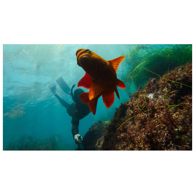 GoPro AGXTS-002 asta di prolunga con telecomando colore nero
