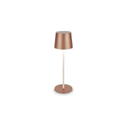 Briloner BT10034 Table Lamps Lampada da tavolo LED Bianco caldo Batteria ricaricabile USB IP44 colore Caffe'