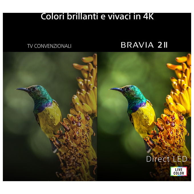 Sony K-75S25M2 BRAVIA 2 II TV 75'' 4K Ultra HD LCD Direct LED Google TV Dolby Atmos colore Nero