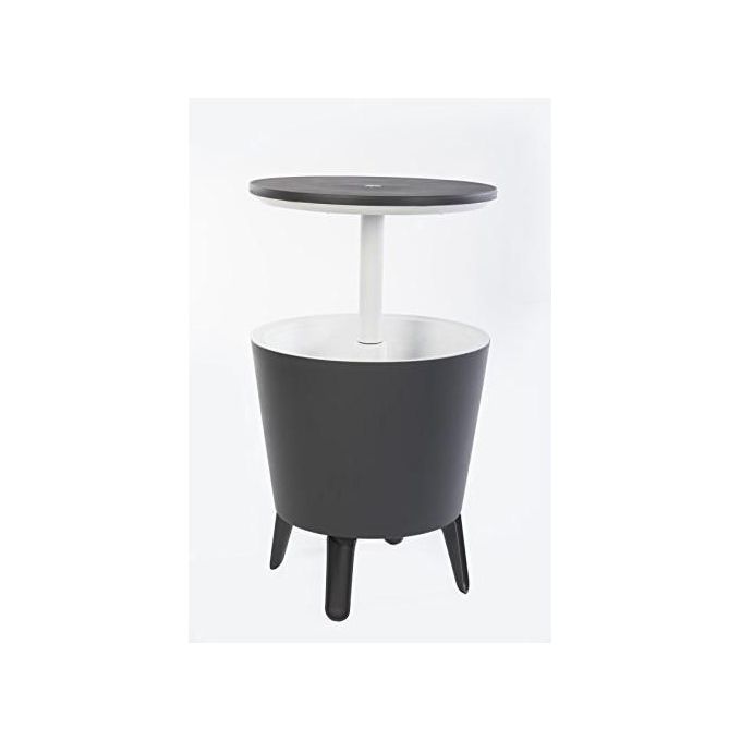 Keter Tavolino Portaghiaccio In Resina 30 LT Grigio