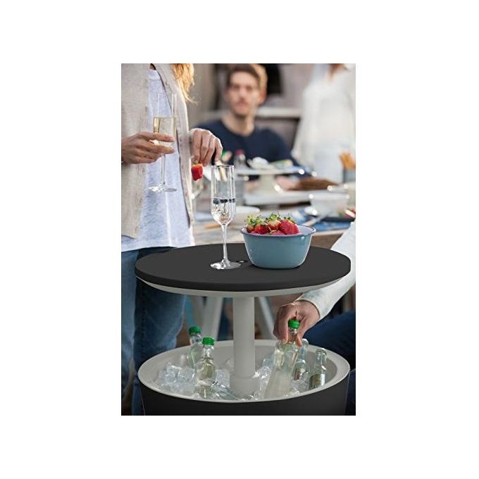Keter Tavolino Portaghiaccio In Resina 30 LT Grigio