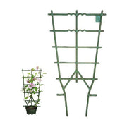 Erba Telaio Vasi Rampicanti Verde 35x90cm