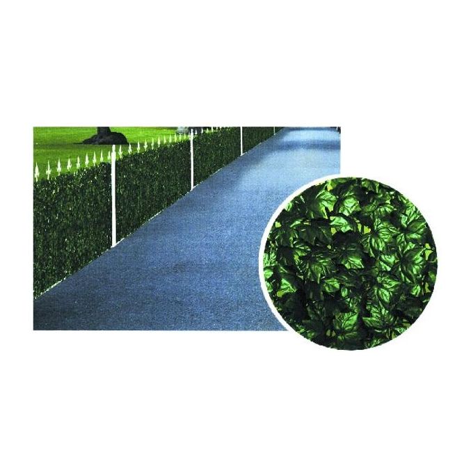 Il Campo Siepe Edera H 150 M 3 - 03474