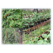 Reti Ortofrutta In Nylon Sostengreen