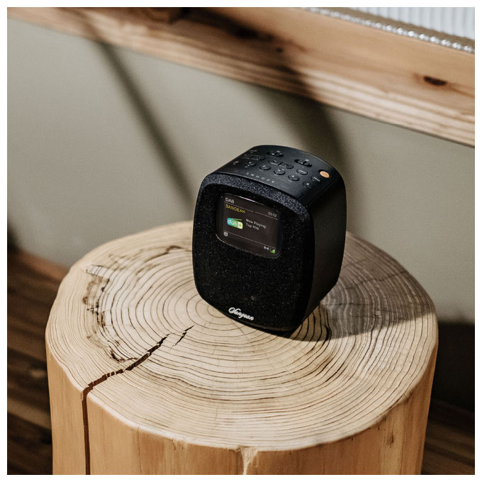 Sangean A500459 DCR-83 Radio da Tavolo DAB+ FM Bluetooth USB Audio in Uscita 2 W LCD Retroilluminato Funzione Sveglia e Snooze colore Nero