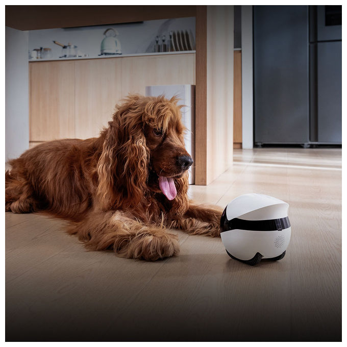 Enabot EBO Air 2 Plus Robot Companion Intelligente Bianco