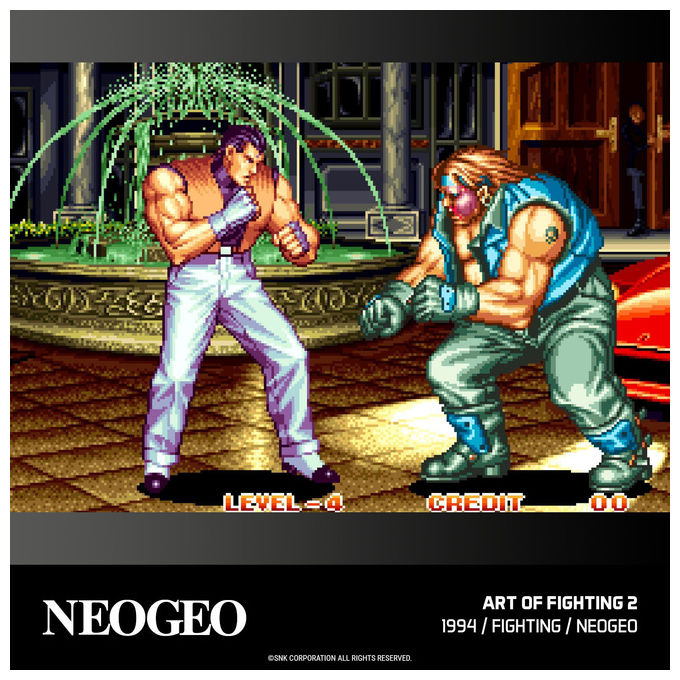 Blaze Entertainment Cartuccia Gioco Evercade NeoGeo Arcade 2