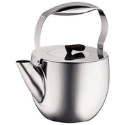 Bodum 15L Columbia Teiera Acciaio Inox con Filtro per Te' Sfuso Doppia Parete Isolante colore Argento