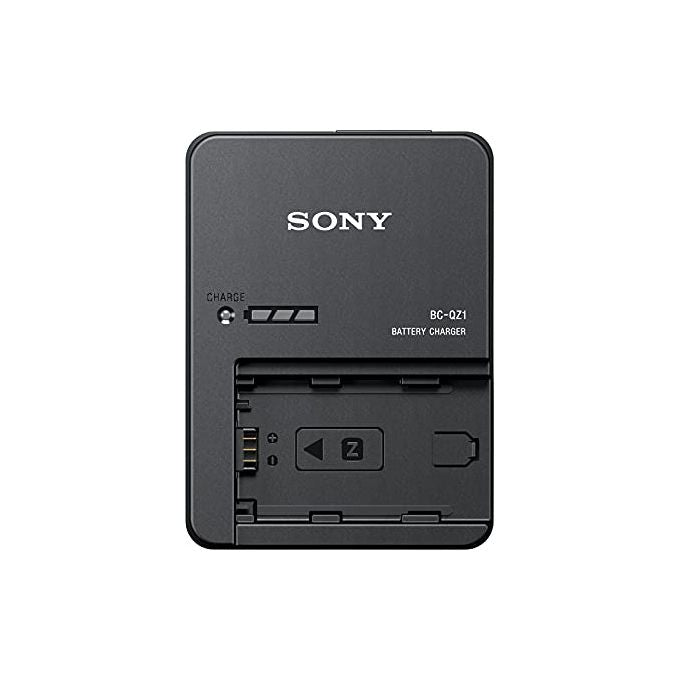 Sony BC-QZ1 Caricatore Rapido per Fotocamere Sony NP-FZ10