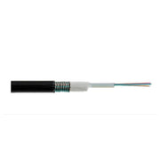 Link Cavo Fibra Ottica da Esterno Armato Om3 Guaina Pe 24 Fibre
