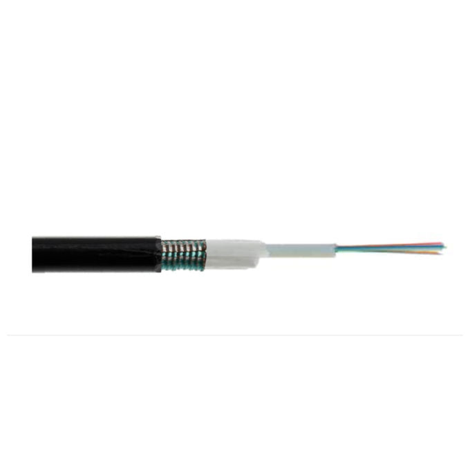 Link Cavo Fibra Ottica da Esterno Armato Om3 Guaina Pe 24 Fibre