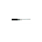 Link Cavo Fibra Ottica da Esterno Dielettrico Om3 Antiroditore 8 Fibre