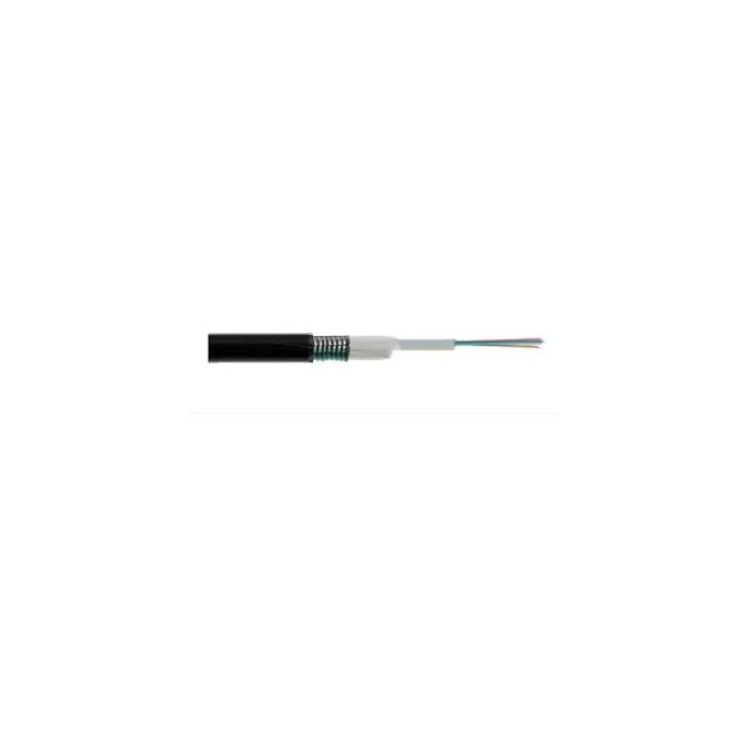 Link Cavo Fibra Ottica da Esterno Dielettrico Om3 Antiroditore 8 Fibre