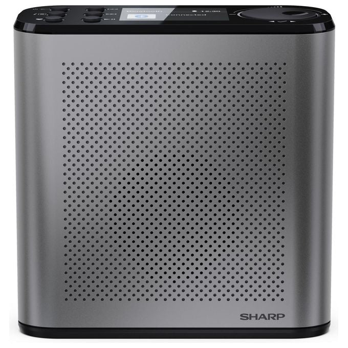 Sharp, Radio Digitale Portatile DAB-DAB+ con Bluetooth 5.3, Grigio Tempesta