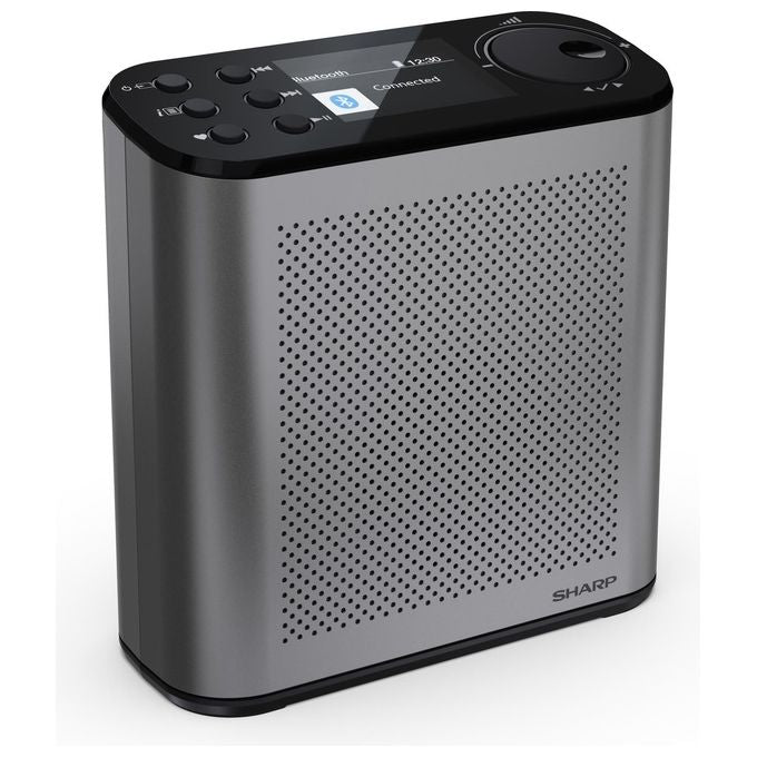 Sharp, Radio Digitale Portatile DAB-DAB+ con Bluetooth 5.3, Grigio Tempesta