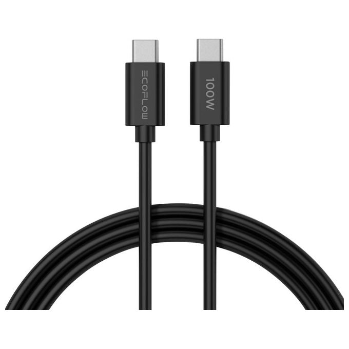 EcoFlow Rapid, Caricabatterie Universale 65W, Argento, Ricarica Rapida, 3 Dispositivi