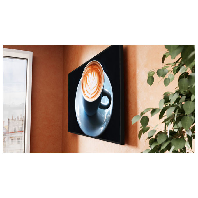 Sony FW-65BZ35P Display professionale 65'' 4K UHD 500 cd-m² IPS DBNG IP5X 24-7 colore Nero