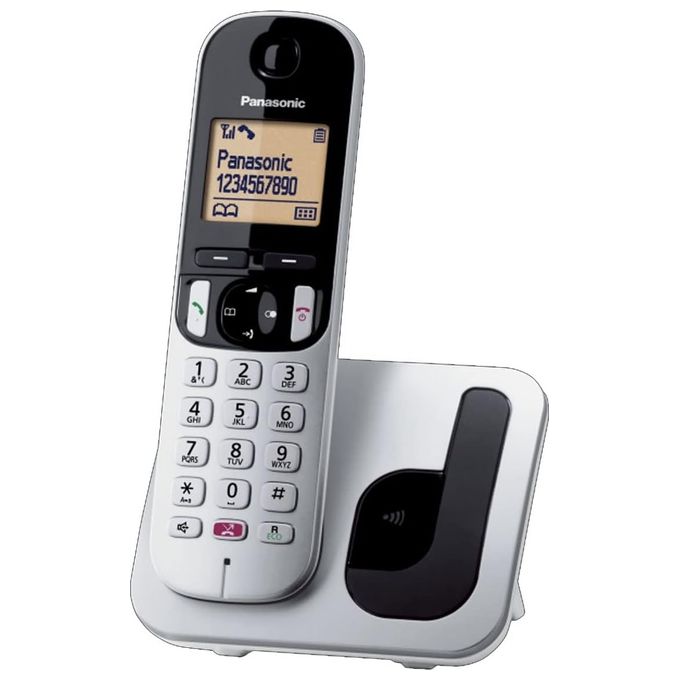 Panasonic KX-TGC250JTS Telefono Cordless DECT GAP Display 1,6'' ID Chiamante Blocco Chiamate Vivavoce Sveglia colore Argento
